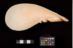 Foto (Detailansicht) von Salatschüssel mit Besteck  (NHMW-ZOO-MO-0081100-ETH-106)